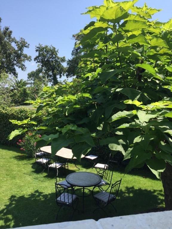 a group of tables and chairs under a tree at Villa Louise-Rose in Villeneuve-Loubet