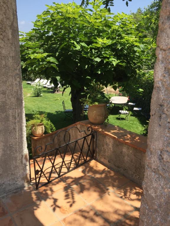 a view of a garden with a bench and a tree at Villa Louise-Rose in Villeneuve-Loubet