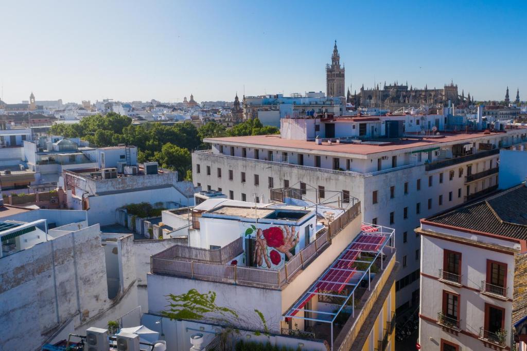 Black Swan Hostel Sevilla, Seville – Updated 2023 Prices
