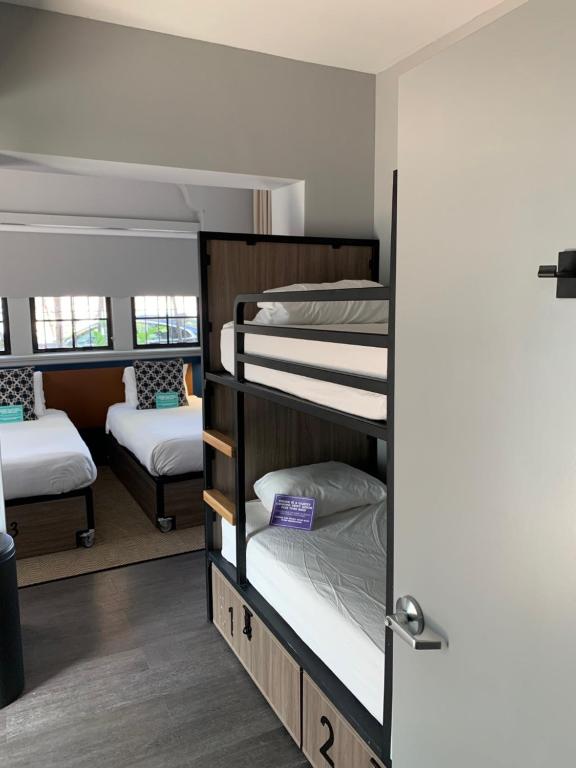 Hotel Rendale Miami Beach - Quadruple Room ADA