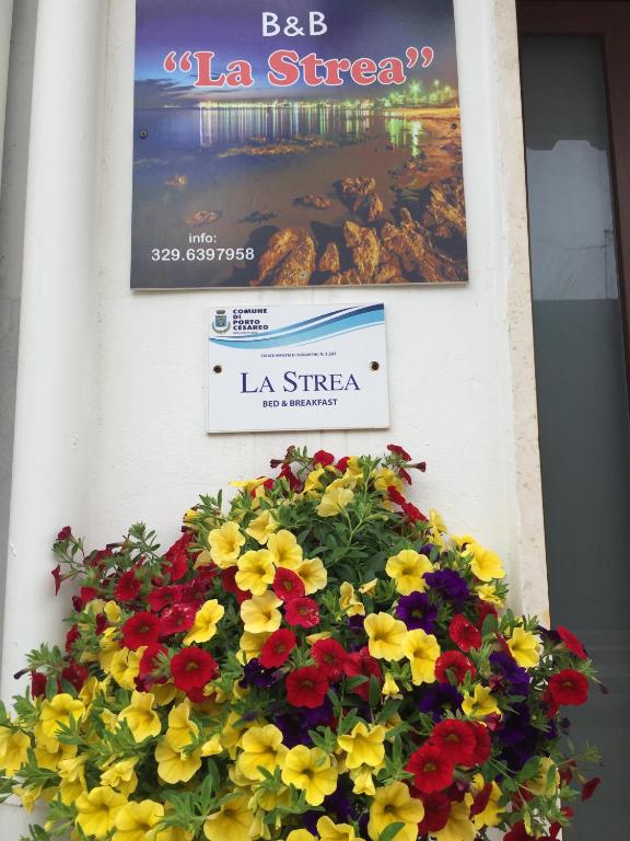 Fotografie z fotogalerie ubytování B&B La Strea v destinaci Porto Cesareo