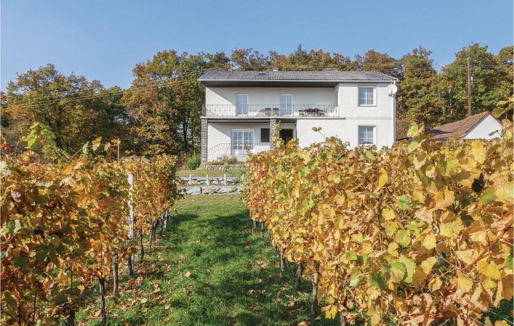 a white house behind a bunch of vines at Awesome Home In Eisenberg With 5 Bedrooms And Wifi in Eisenberg an der Pinka