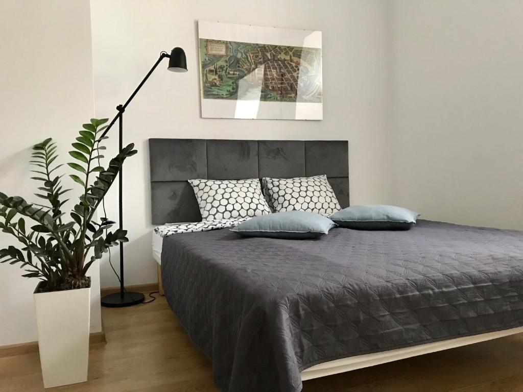 a bedroom with a bed with blue pillows and a plant at Poznan Rents - Apartamenty Mostowa Old Town Parking Free in Poznań