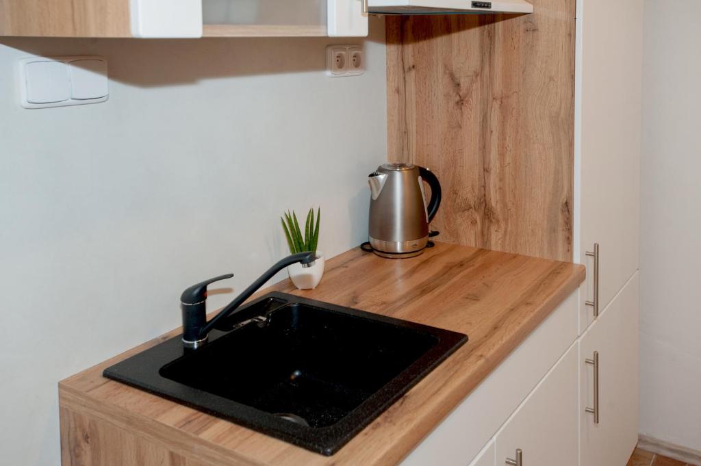 Certi Apartmány - Resim 28