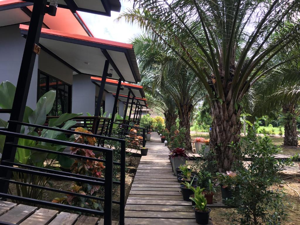 a wooden pathway leading to a house with palm trees at Khao Sok Residence Resort in Khao Sok National Park