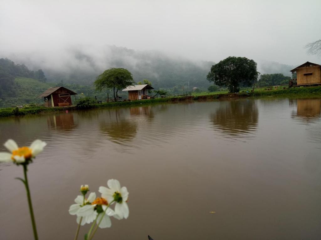 a body of water with houses and flowers at Samoeng fishing park home stay in Samoeng