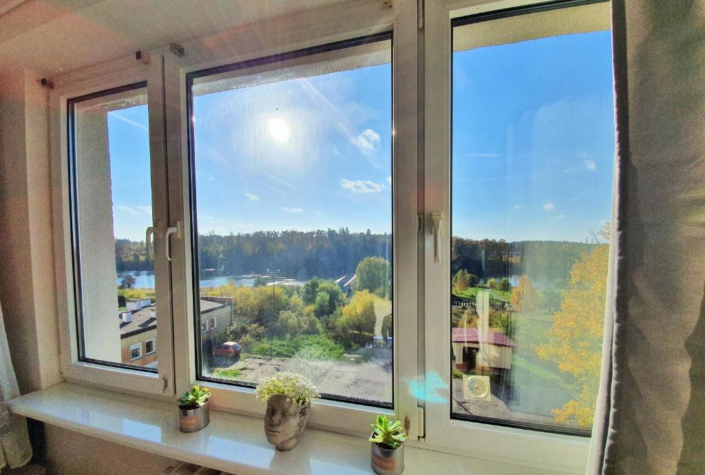 a window with three potted plants on a ledge at Apartament LAKE z widokiem na jezioro Jakuba in Ostróda