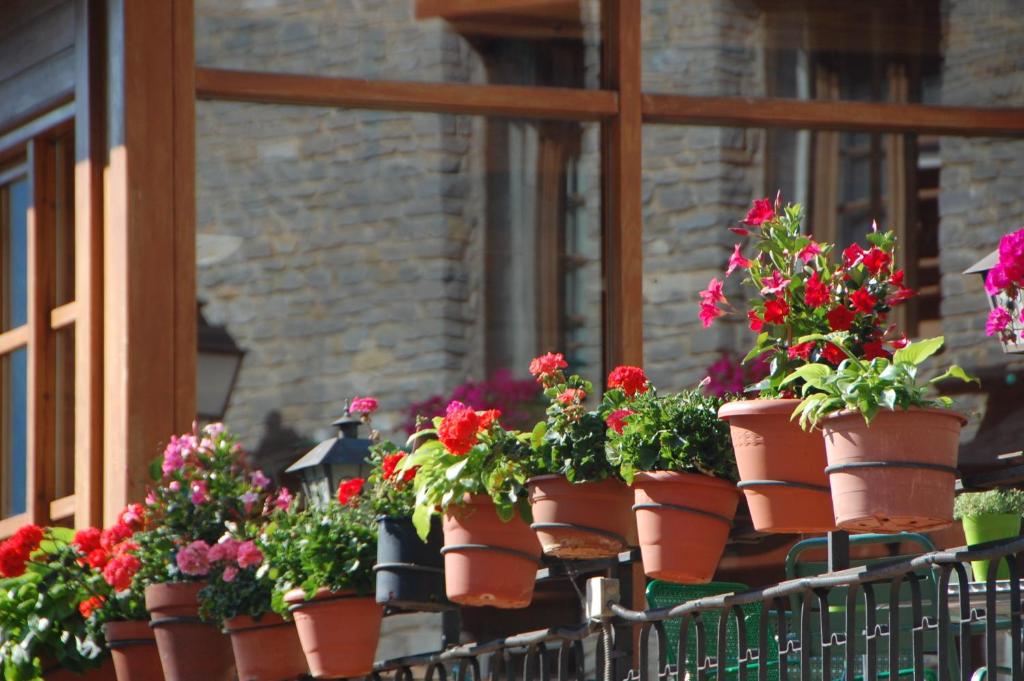Zahrada ubytování Hotel Roya