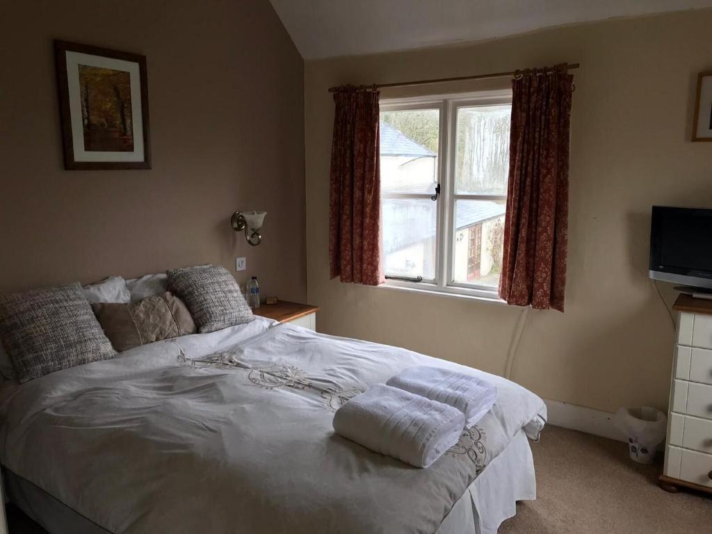 The Carew Arms - Small Double Room