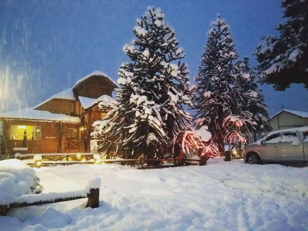 Solar de las Araucarias v zimě