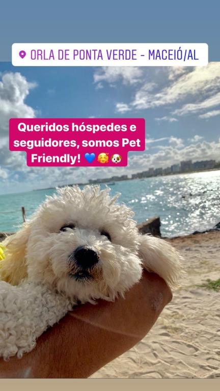  Perfeito Beira-Mar em Ponta Verde - AP completo e melhor localizado de Maceió!