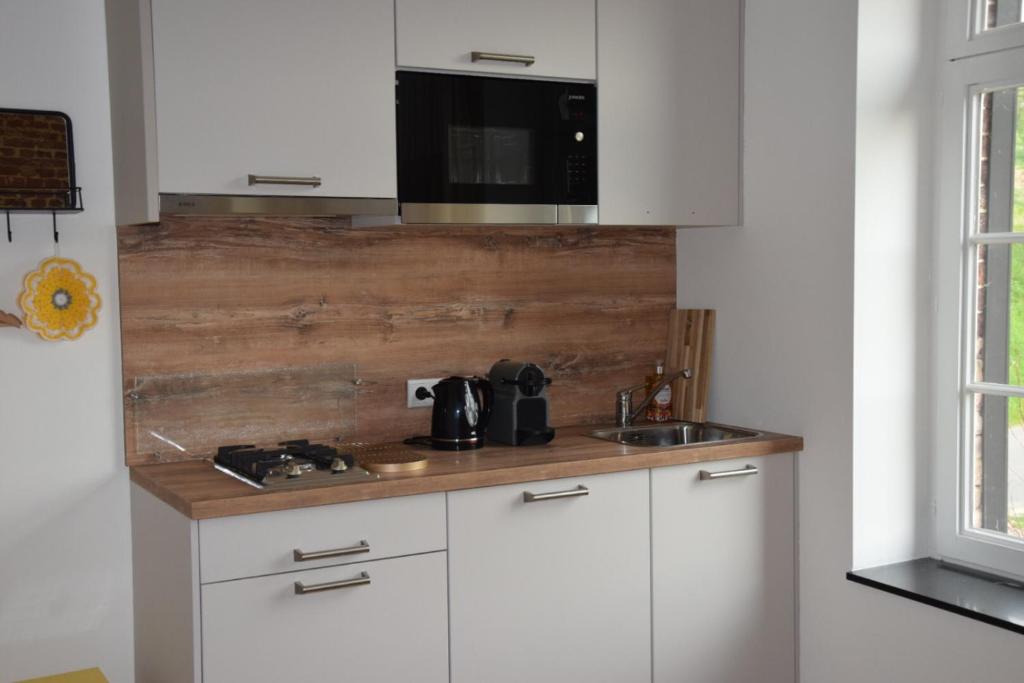 Kuchyň nebo kuchyňský kout v ubytování Mille Fleurs - apartments
