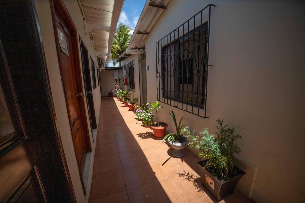 Fotografie z fotogalerie ubytování Hostal Gladismar v destinaci Puerto Villamil