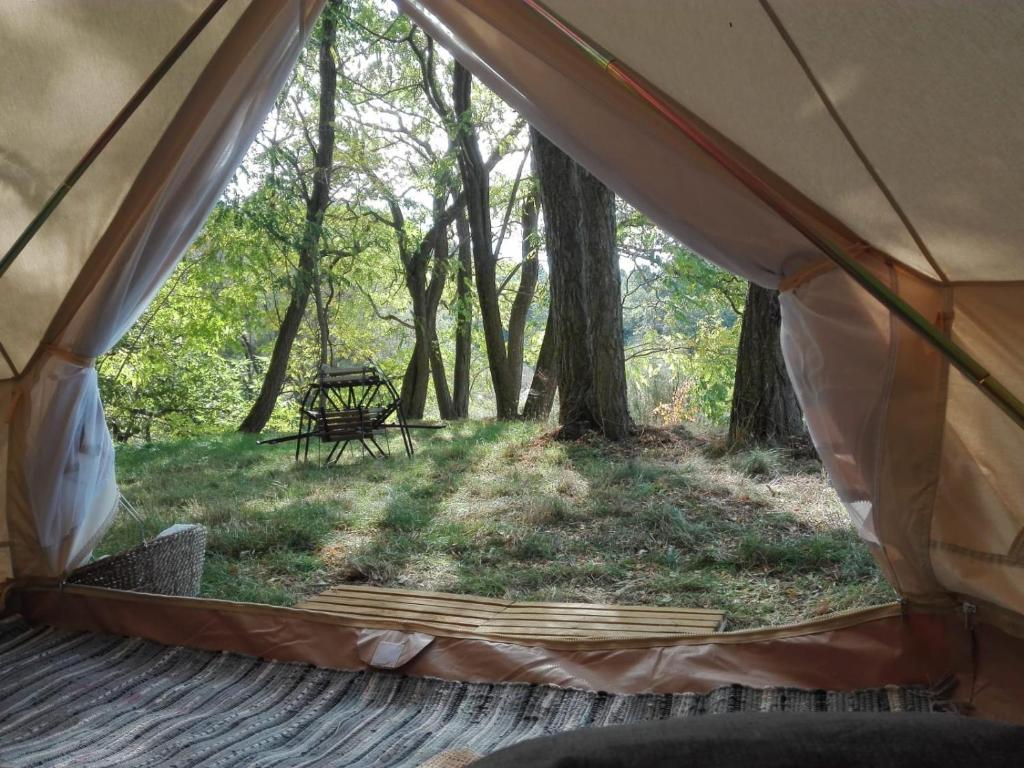 een uitzicht vanaf de binnenkant van een tent in het bos bij Rifugio Manfre Bivouac Tent in Belpasso
