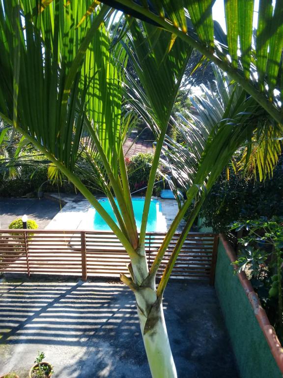  Residencial Morada dos Golfinhos