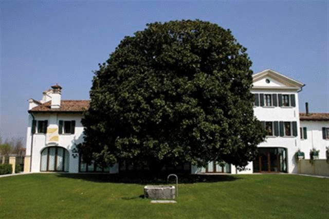 Zahrada ubytování Hotel Fossa Mala