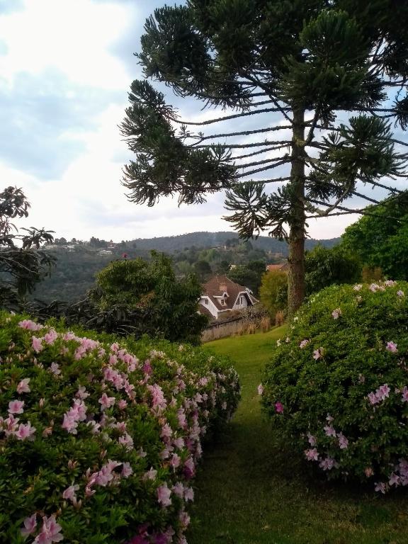  Pousada Casa Campos Bed & Breakfast
