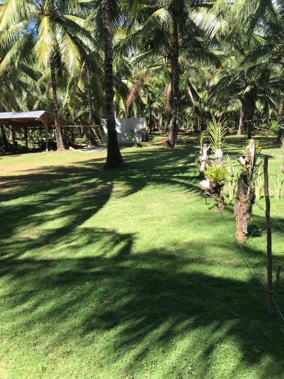 a field of grass with palm trees in a park at Taylors Country Home by Taylors Travellers Inn-2 Bedrroom Modern Villa in Alga