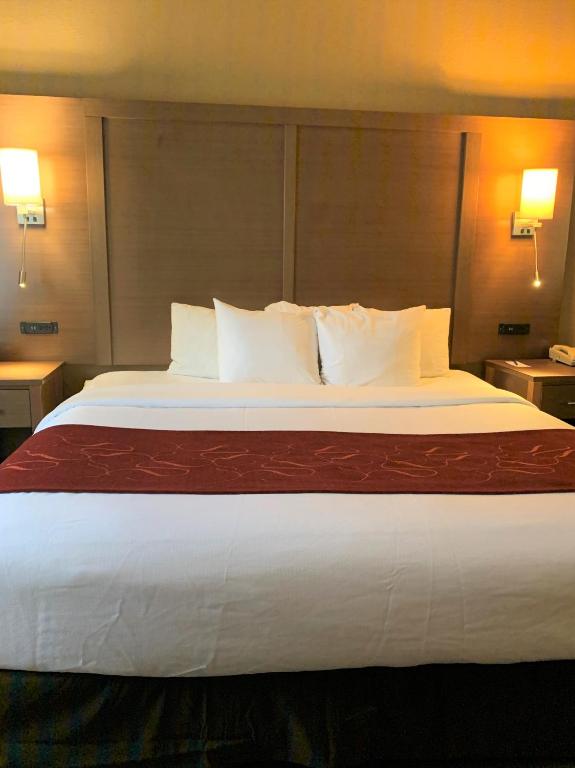 Comfort Suites Bush Intercontinental Airport - King Suite - Accessible / Non-fumeur
