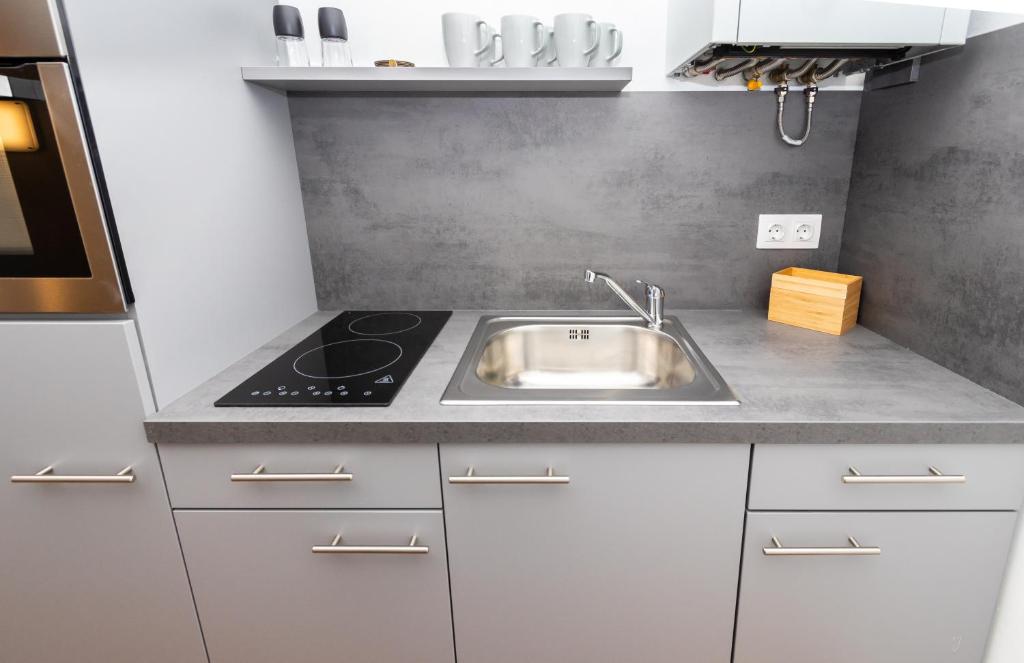 kuchnia ze zlewem i kuchenką w obiekcie Radiant Premium Apartments - Central w Wiedniu