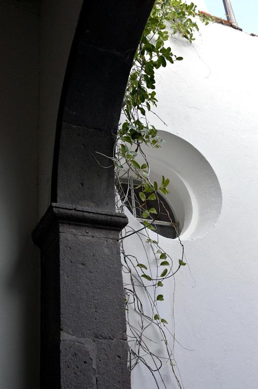Fotografie z fotogalerie ubytování Casa de Los Olivos v destinaci San Miguel de Allende