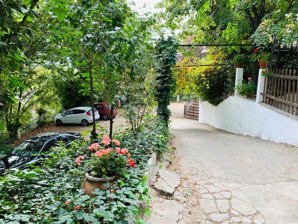 Zahrada ubytování Barranco de la Salud