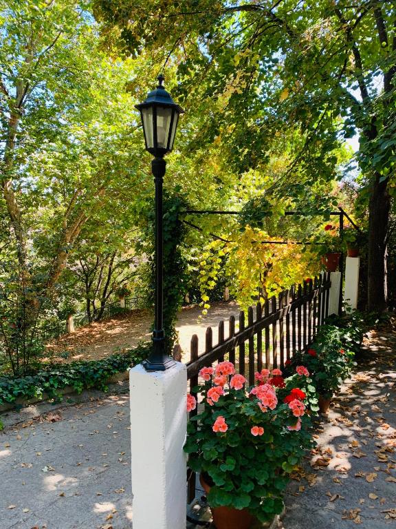 Zahrada ubytování Barranco de la Salud