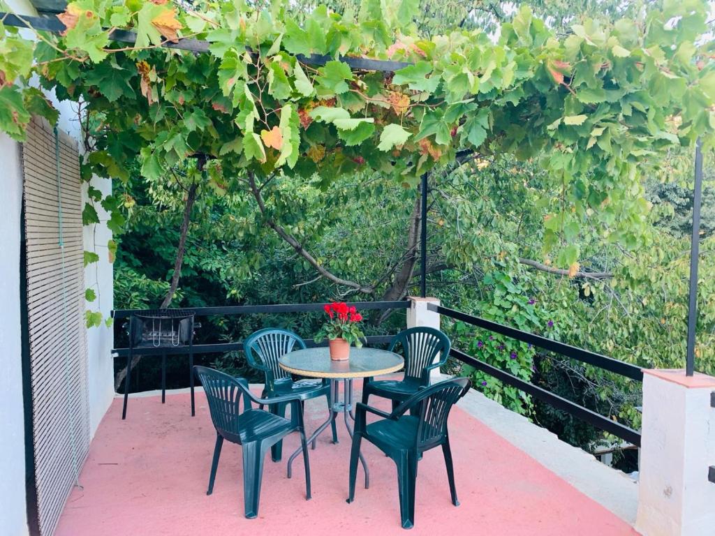 Zahrada ubytování Barranco de la Salud
