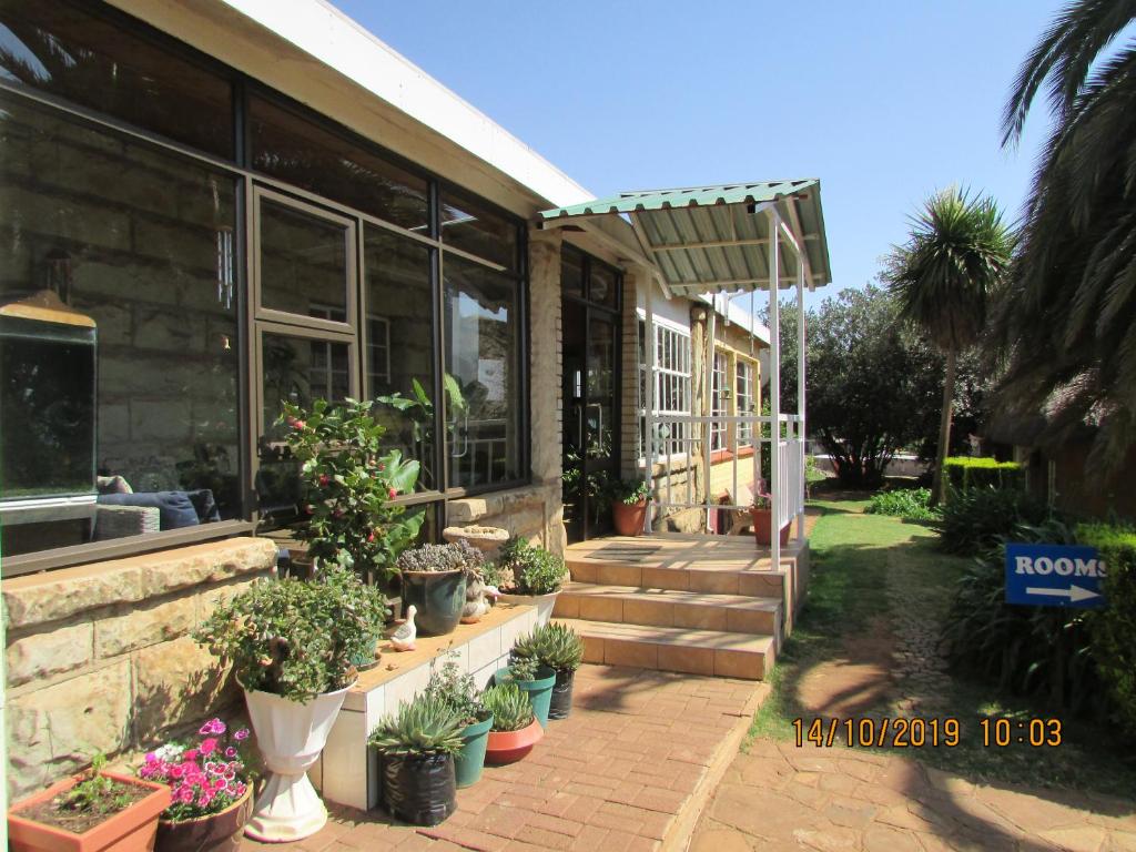 a house with potted plants sitting outside of it at Aloes Lodge in Leribe