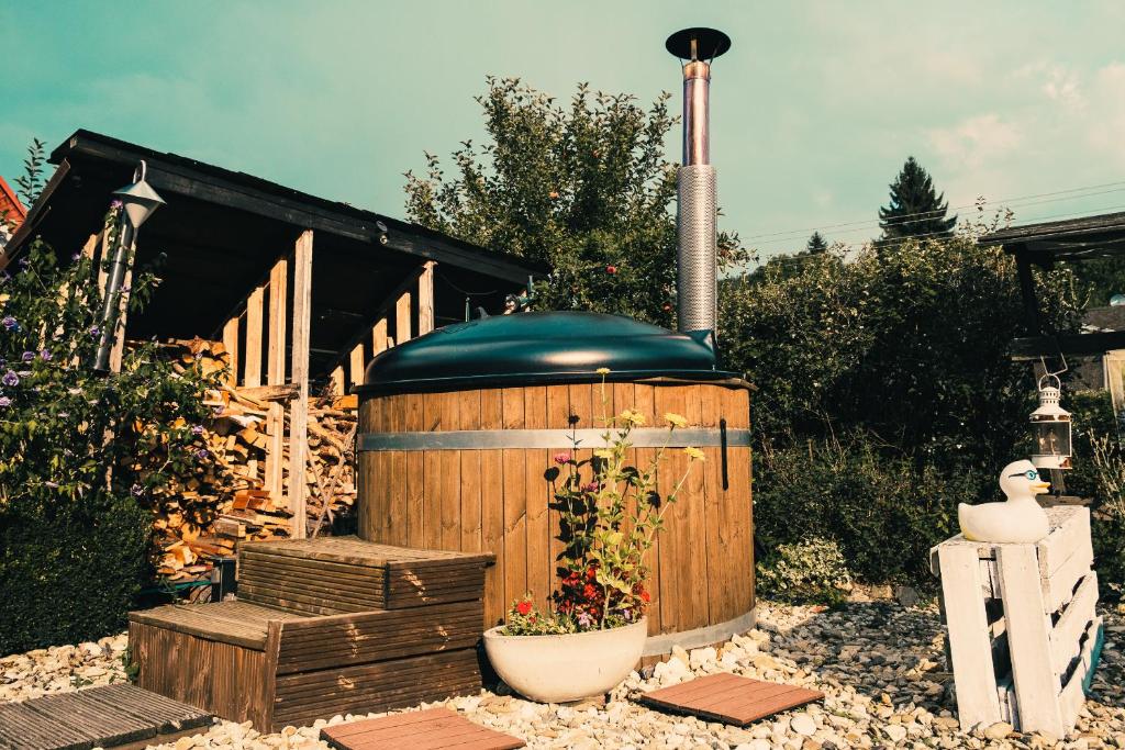 Zahrada ubytování Pension Rokytka