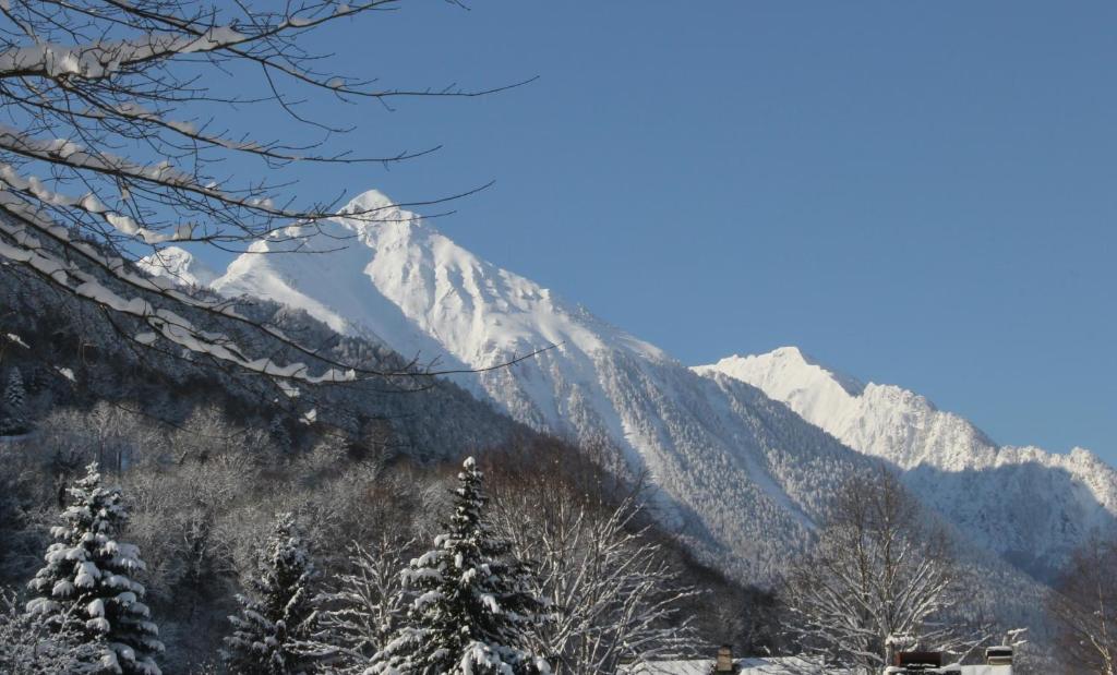 una montaña cubierta de nieve con árboles en el primer plano en Moudang 11, en Saint-Lary-Soulan