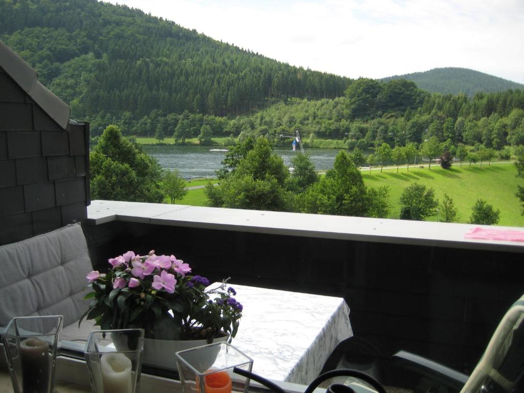 a balcony with a view of a river and mountains at Ferienwohnung Hilleseeblick in Winterberg