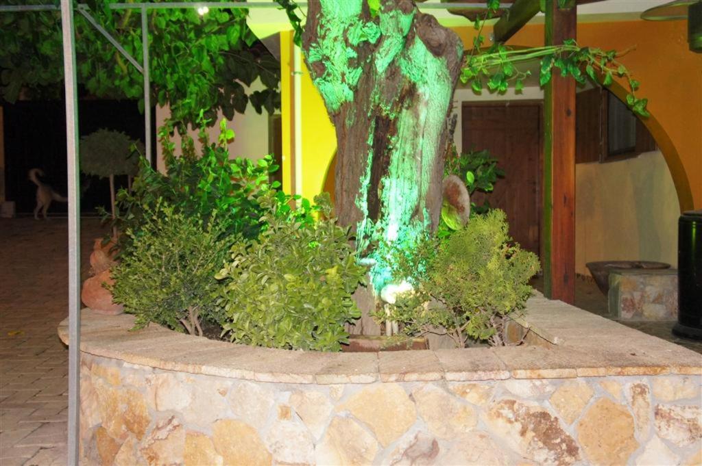 Vonkajšia záhrada v ubytovaní Stone Guesthouse