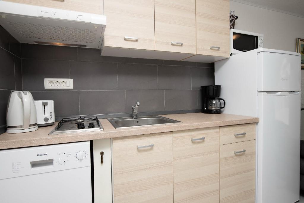 Kuchyňa alebo kuchynka v ubytovaní Villa Manta Crikvenica
