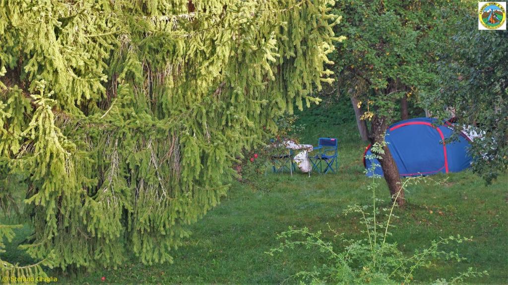 Zahrada ubytování Camping Yoghi e Bubu