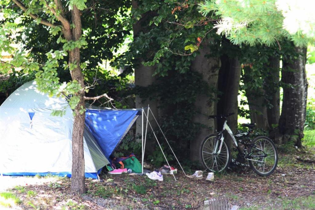 Foto sihtkohas San Giacomo asuva majutusasutuse Camping Yoghi e Bubu galeriist