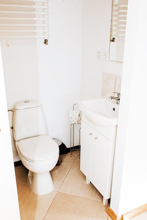 Kúpeľňa v ubytovaní Noclegi u Alicji agroHostel