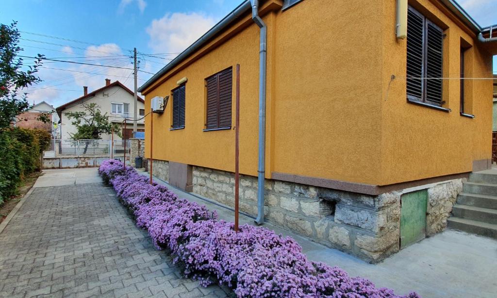 Gallery image of Guesthouse Stojanović in Negotin