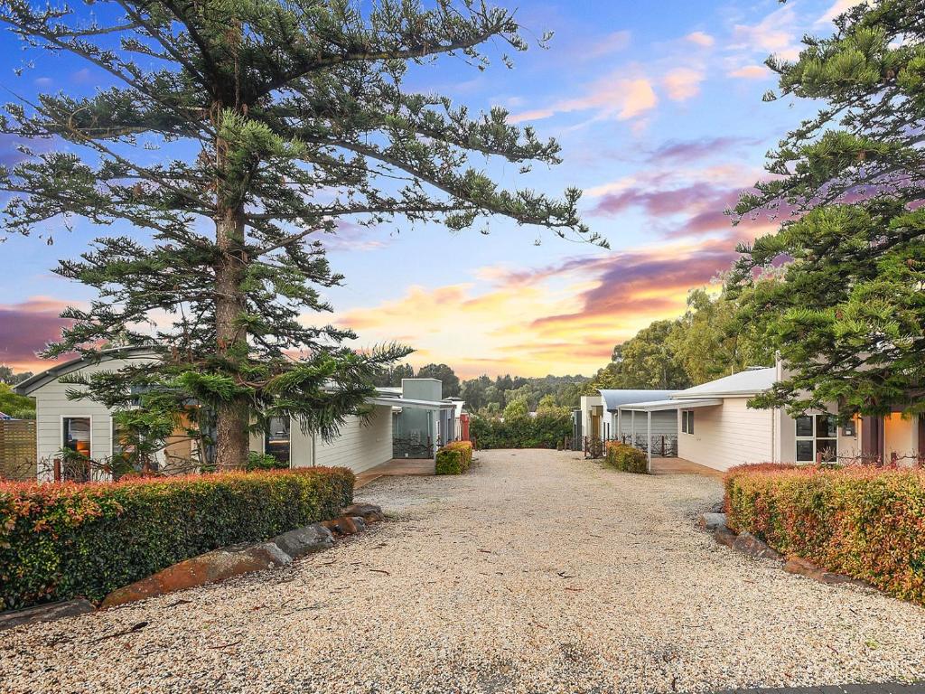 a driveway leading to two houses and a tree at McLaren Vale Studio Apartments in McLaren Vale