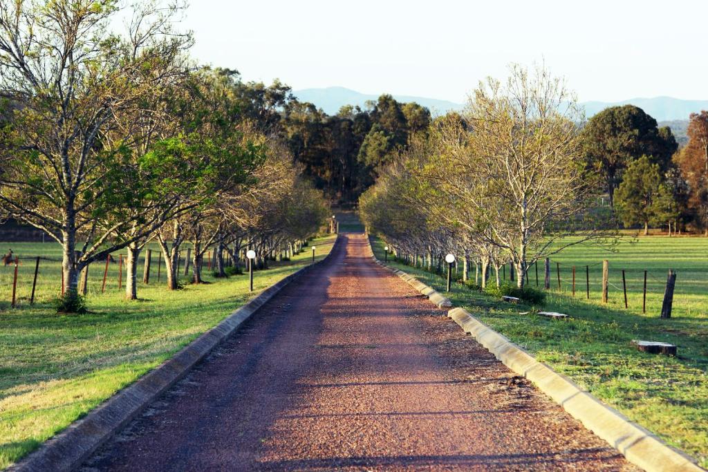 an empty road in a field with trees at Blueberry Hill Vineyard Stay in Rothbury