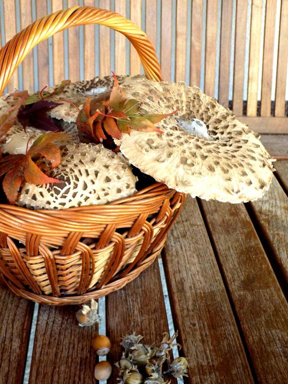 a basket of mushrooms on a wooden table at Apartments Bobi in Tolmin