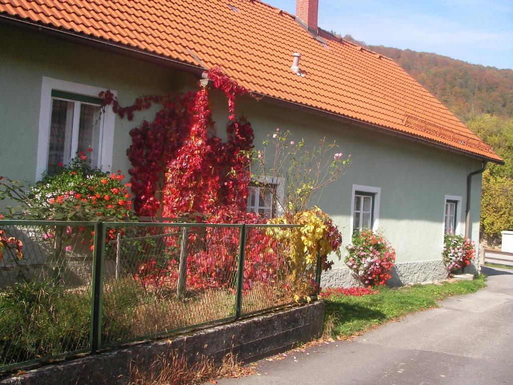 A garden outside Haus Gerstbauer