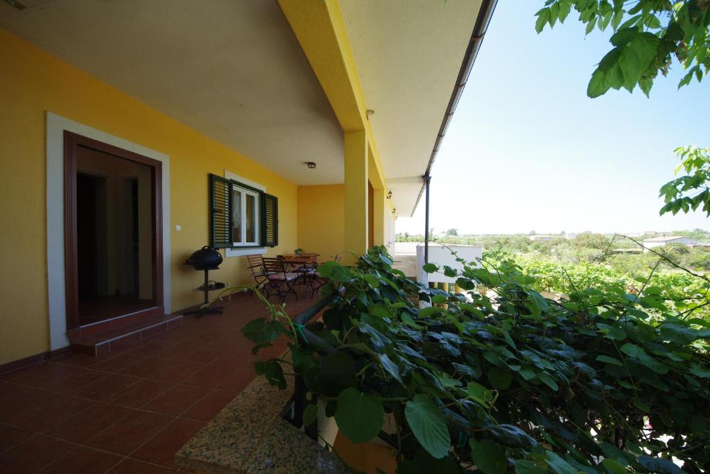 Zahrada ubytování Apartman Marija