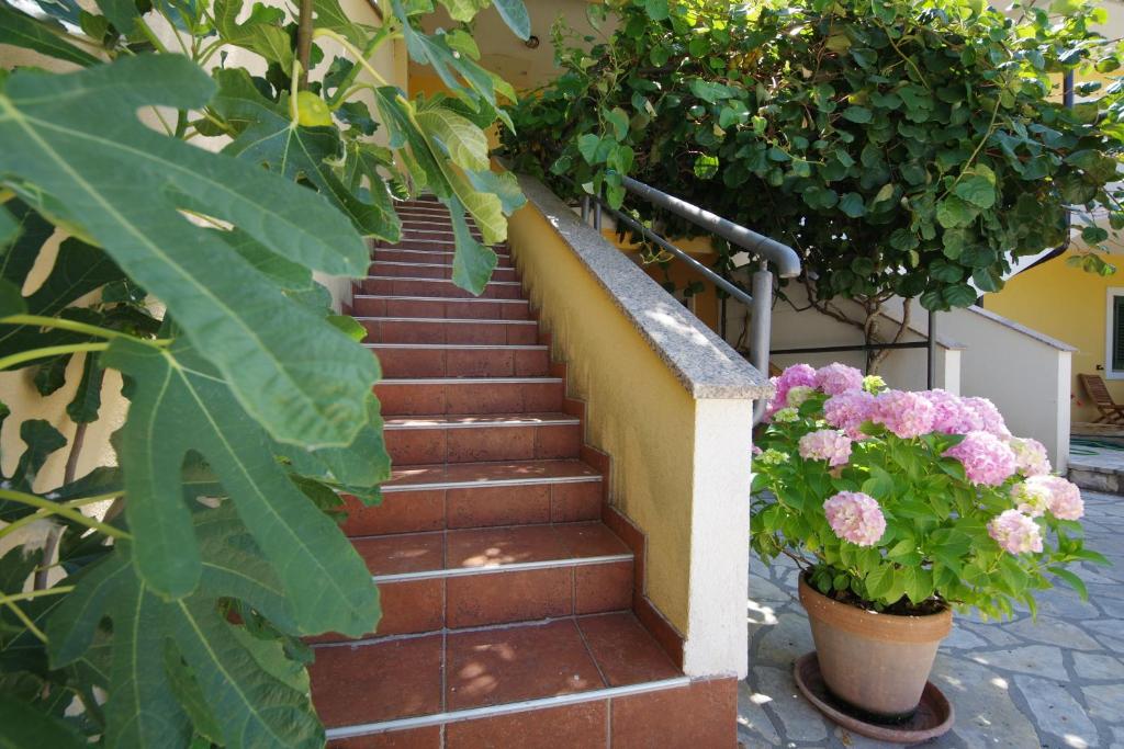 Zahrada ubytování Apartman Marija