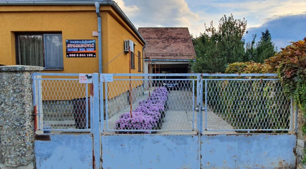 Gallery image of Guesthouse Stojanović in Negotin
