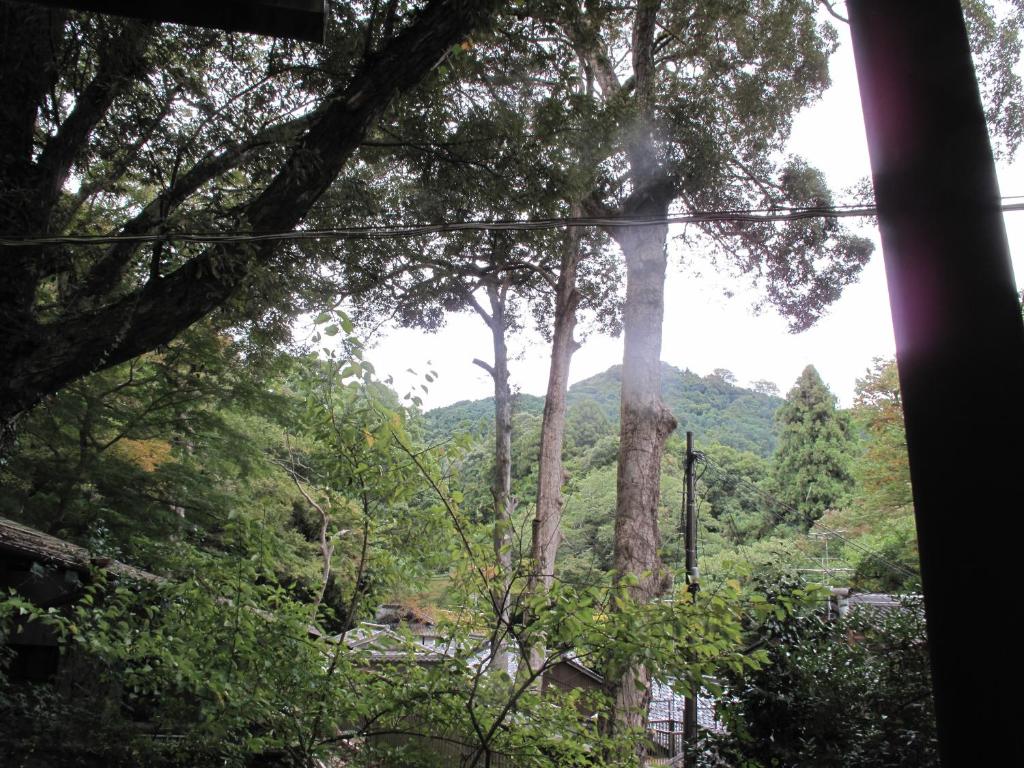 Paesaggio naturale nelle vicinanze dell'affittacamere