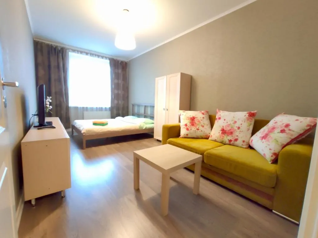 apartSmolenkaRiver, Kudrovo, Russia