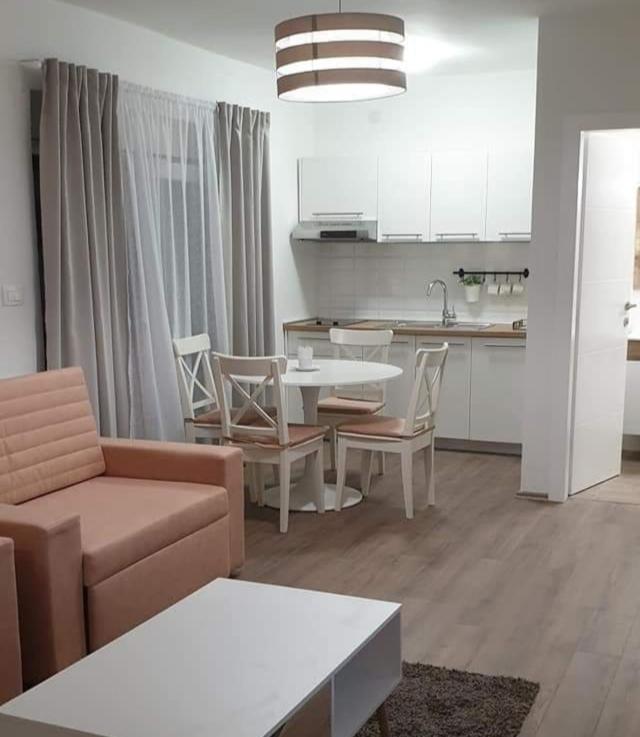 Kuchyň nebo kuchyňský kout v ubytování Laganini, studio apartman 3 FLOWER