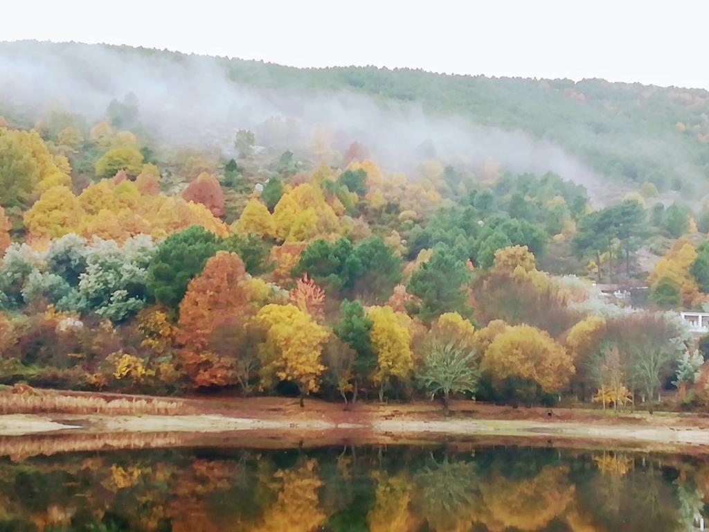 アレーナス・デ・サン・ペドロにあるEl Morezonの湖付きの森の秋の景色