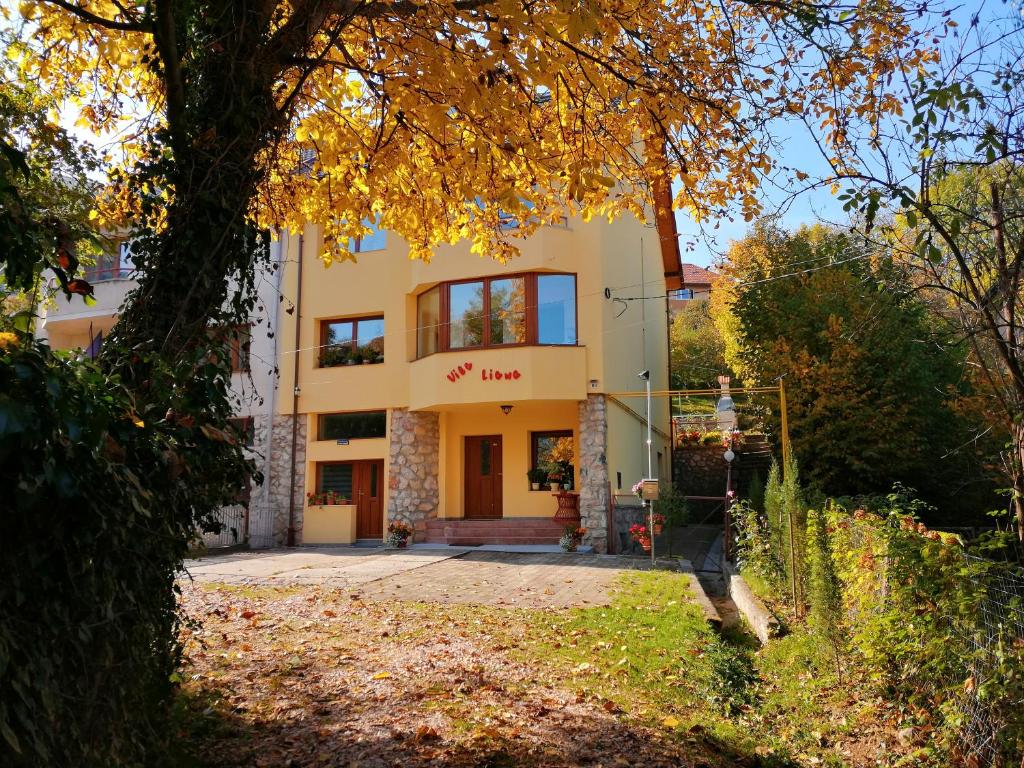 une maison avec un arbre devant dans l'établissement Vila Liana, à Braşov